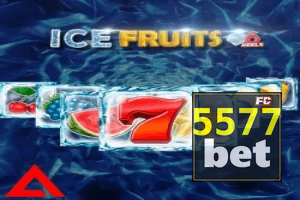 5577BET ajuda online — chat de suporte no aplicativo oficial