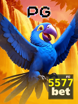 5577BET bônus — cashback 15 por cento e níveis VIP