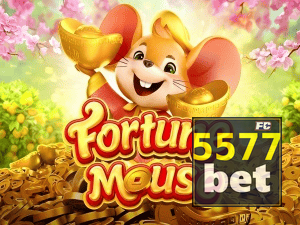 5577BET login — configurações de segurança e proteção de conta